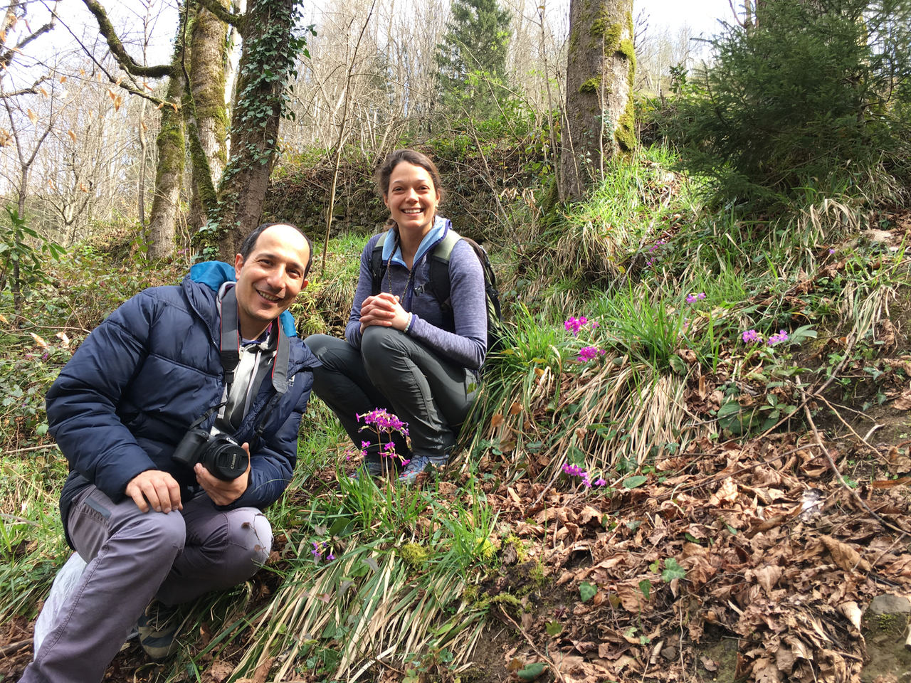 Dr. Ferhat Celep, my Turkish collaborator, with the rare Primula megaseifolia!