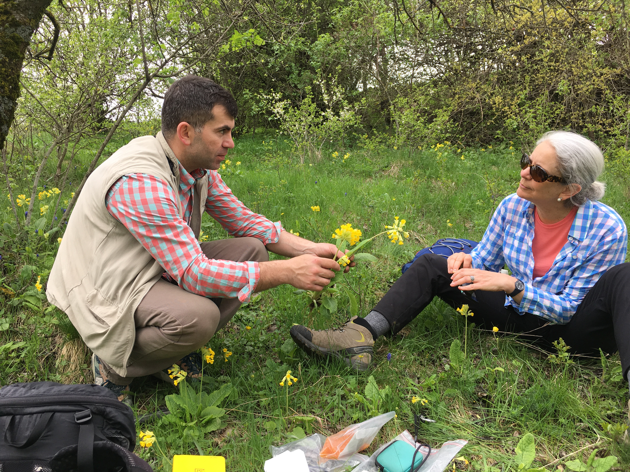 Giorgi, our Georgian collaborator, and Elena checking out P. veris ssp. macrocalyx