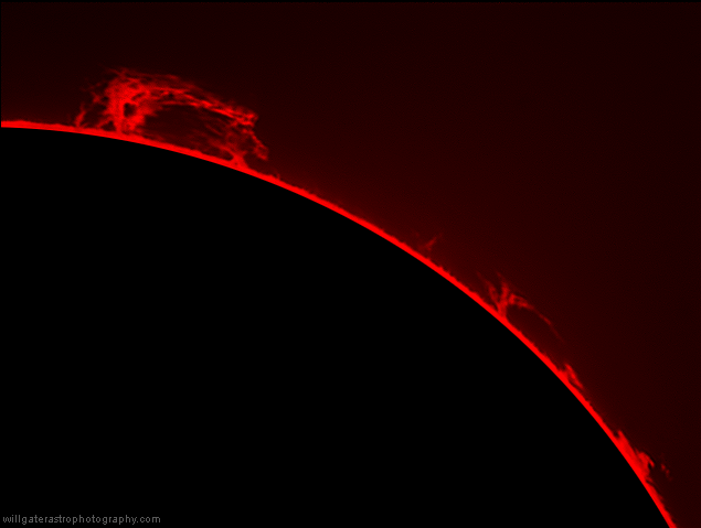 Large prominences in h-alpha, 3 May 2014