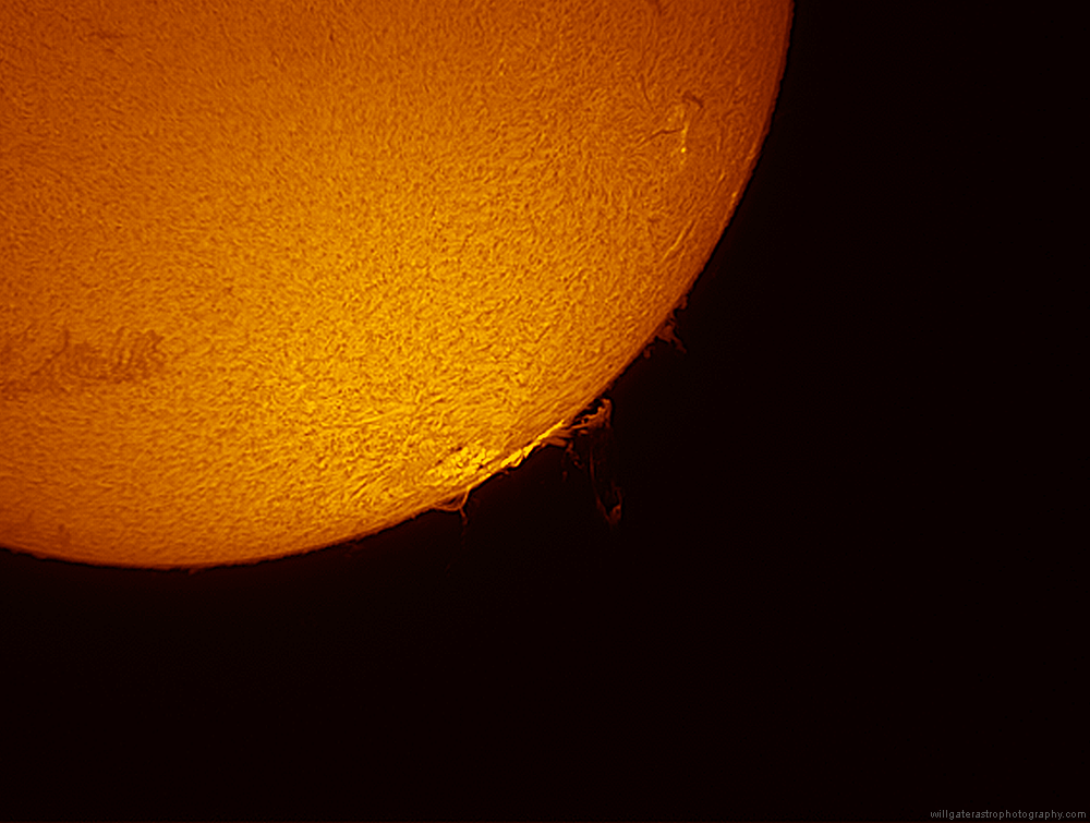 Large prominence and filaments, 8 July 2012