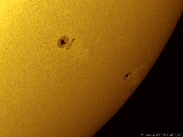 Small sunspots and faculae near the solar limb, 10 November 2013