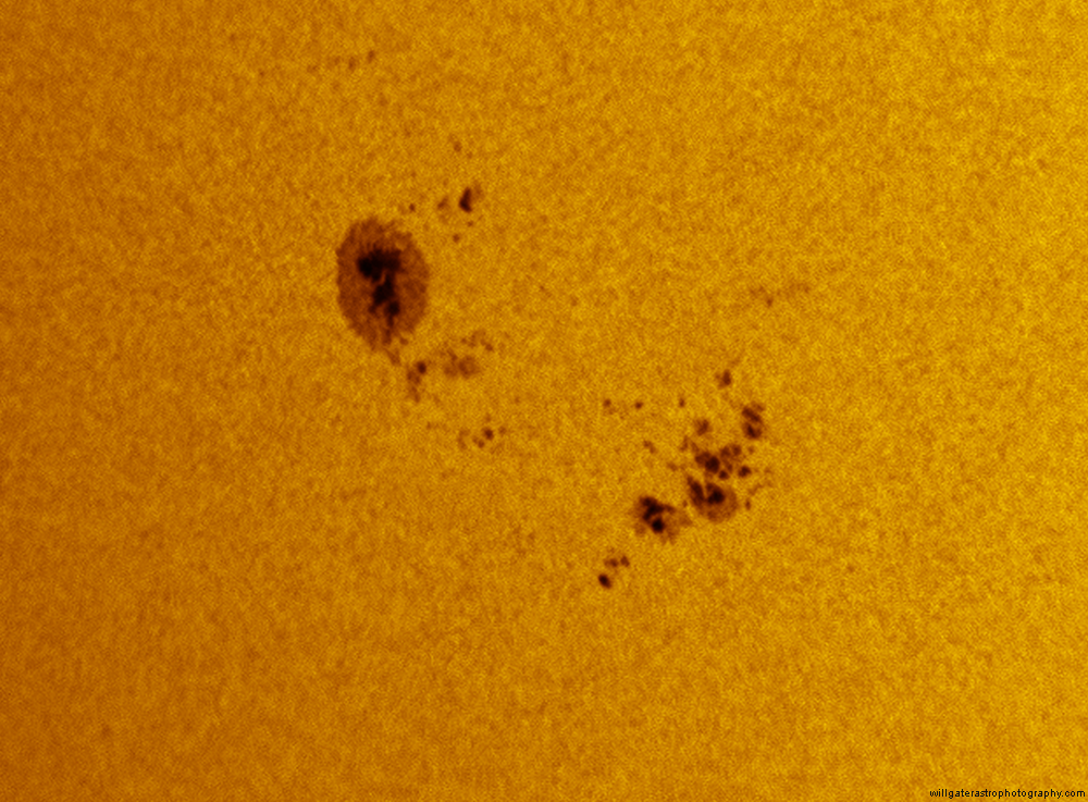 Small sunspot and large group of pores, 10 November 2013