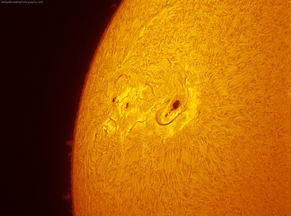 Solar active region in h-alpha surrounded by multiple twisting filaments, 15 July 2012