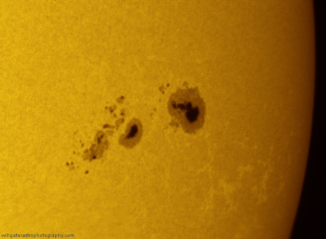 White-light sunspot group surrounded by pores and faculae, 11 January 2014
