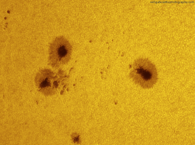 Close-up of sunspots in white-light showing granulation, penumbrae structures and pores