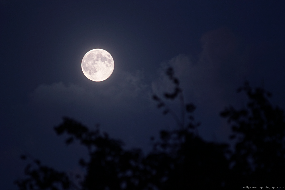 The Harvest full Moon rising over a treeline (composite)