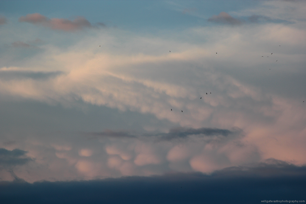 Distant mammatus clouds
