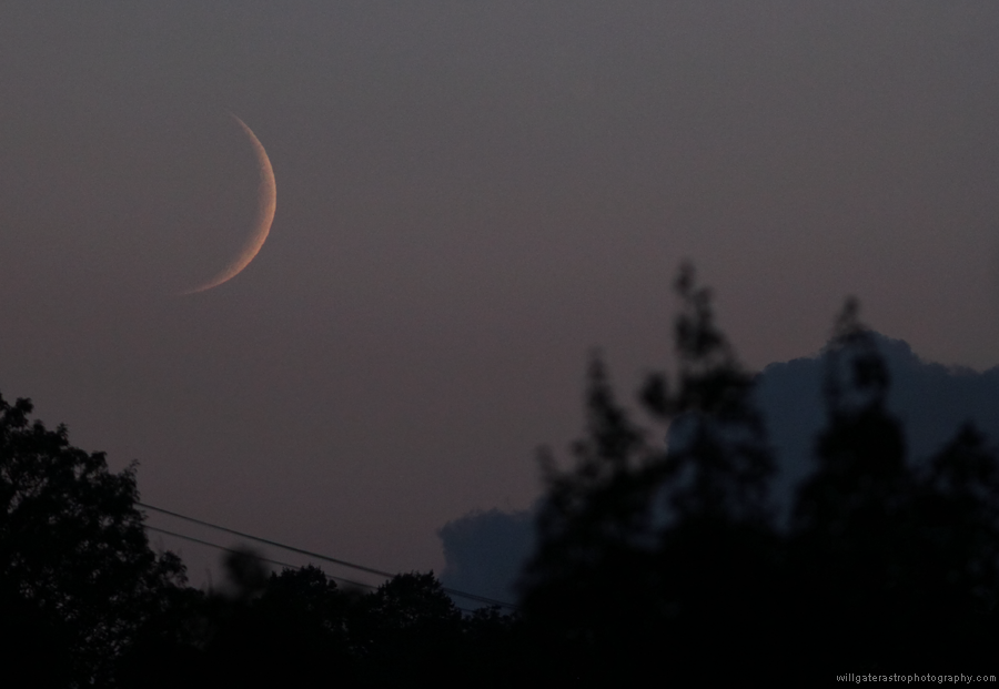 crescent moon_IMG_3898_28082014.png