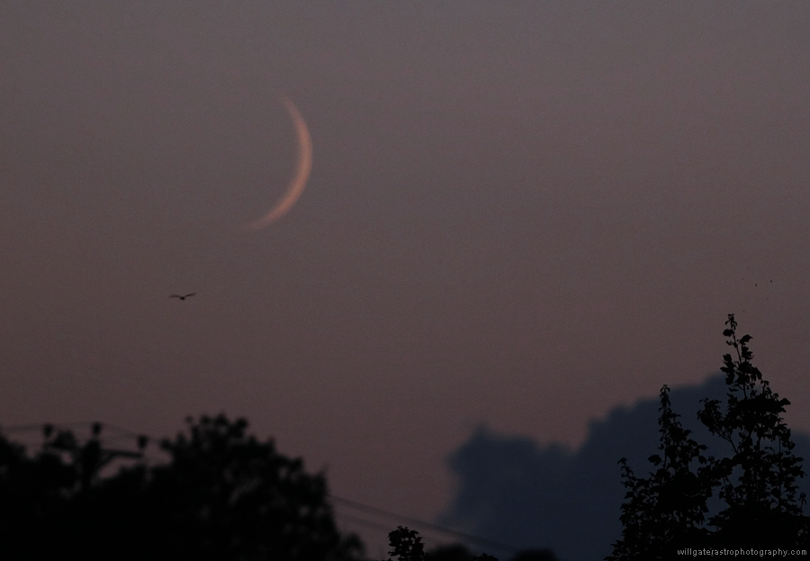 Moon(defocused) with bat28082014.png