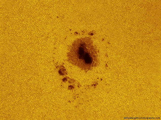 Sunspot AR2158 showing granulation, pores & penumbral structures - 10 September 2014