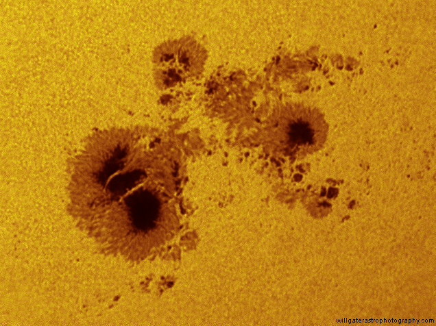 Sunspot AR2192 showing prominent light bridges - 25 October 2014