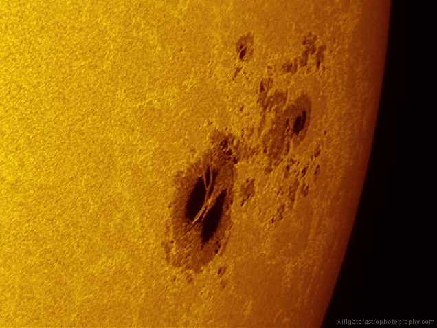 AR2192 surrounded by faculae near the solar limb - 28 October 2014
