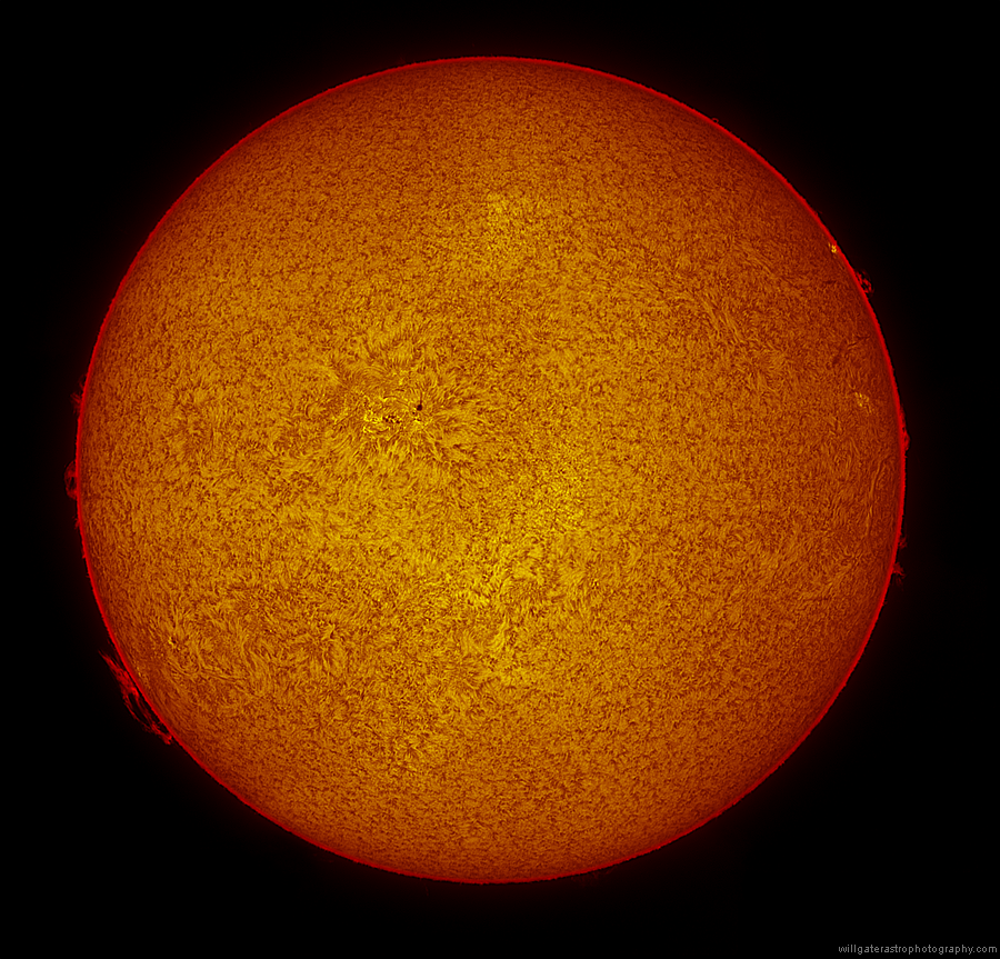 Full solar disc in hydrogen alpha showing prominences and active regions - 9 November 2014