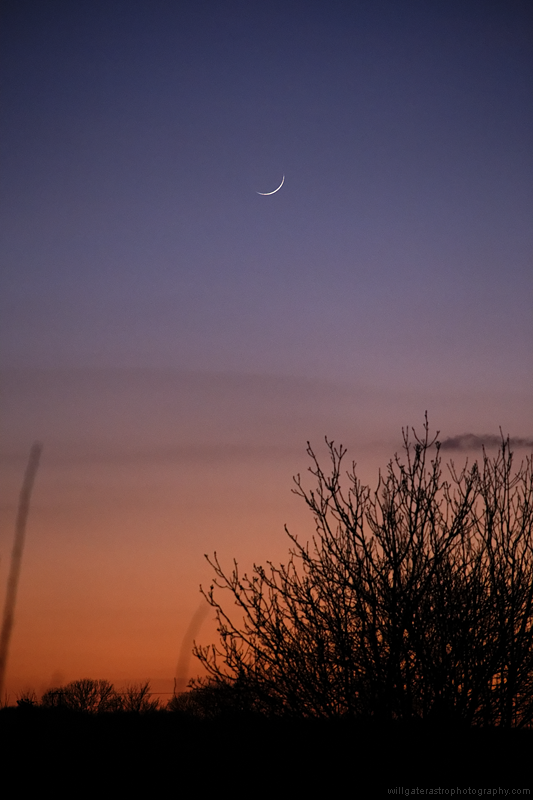 The crescent Moon at twilight