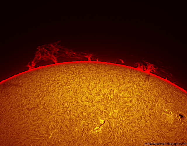 Solar prominences in H-alpha - 31 March 2015