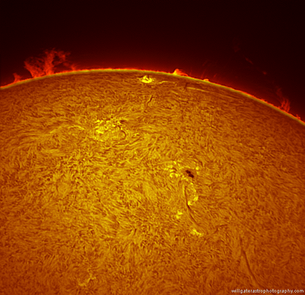 Prominences and active regions (in H-alpha) on the Sun's western limb - 23 April 2015