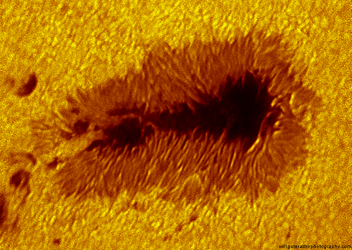 High resolution f/30 close-up of sunspot AR2396 showing numerous penumbral filaments - 8 August 2015, 07:33 UT