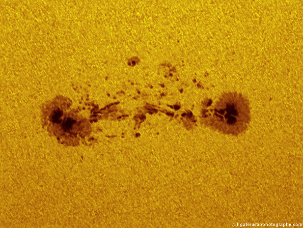 Sunspot (AR)2403 showing multiple pores, penumbral detail and surrounding granulation - 23 August 2015