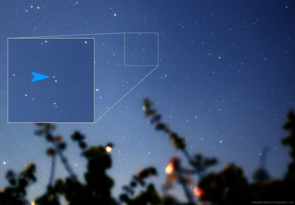 Neptune at opposition - 1 September 2015