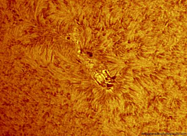 Active region 2415 - 18 September 2015, 13:42UT