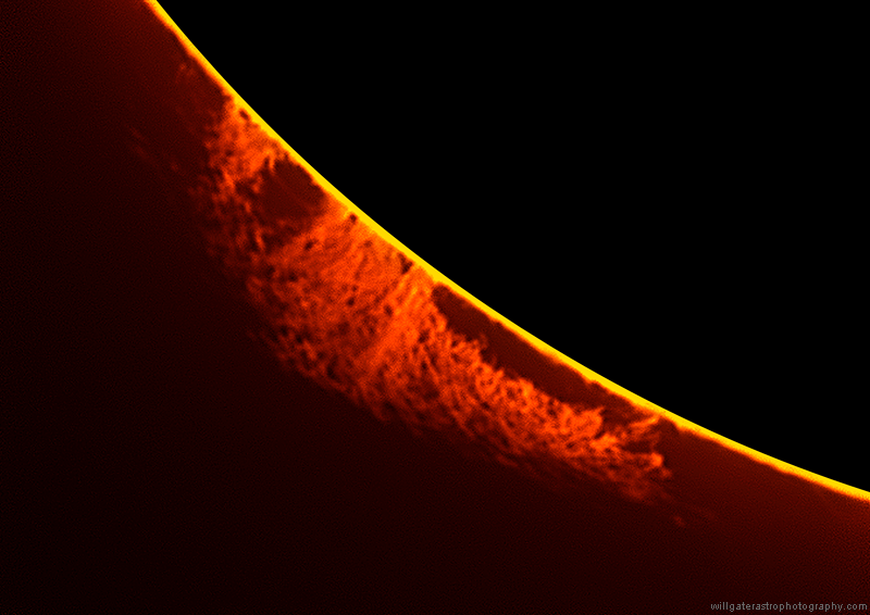 Large hedgerow prominence - 17 September 2015, 10:57UT