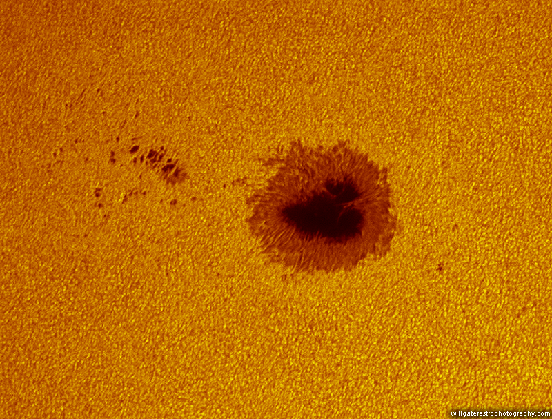 Sunspot within AR2529 plus surrounding granulation - 12 April 2016 - 11:34UT