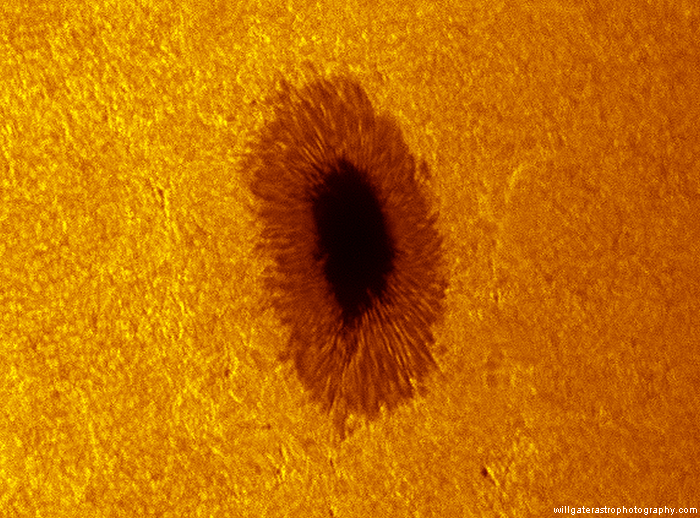 Large sunspot within AR2546 - 09:31UT, 24 May 2016