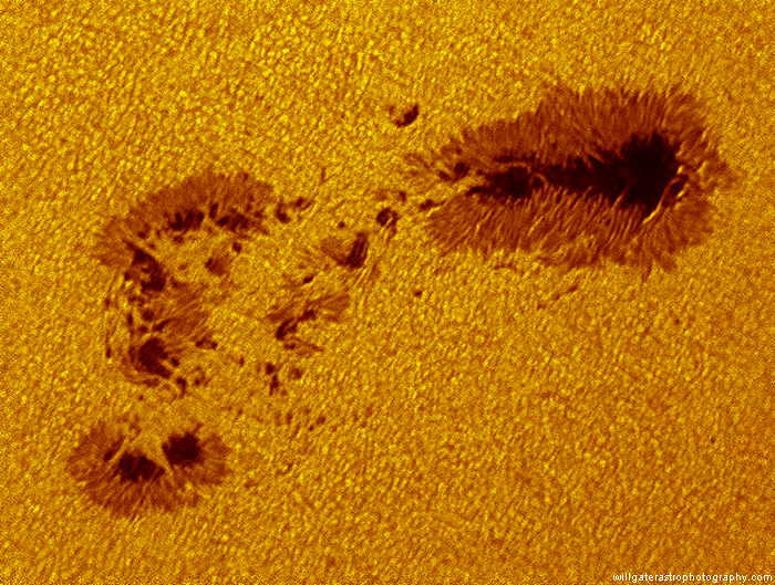 Sunspot AR2396 showing granulation, penumbral filaments and numerous small pores - 8 August 2015, 07:47UT