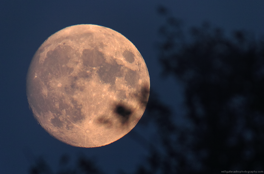 IMG_4978_05112014_reprocess.png