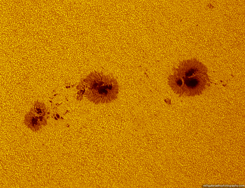 Sunspots (AR2567 & AR2565) in white-light showing granulation of the surrounding photosphere - 18 July 2016
