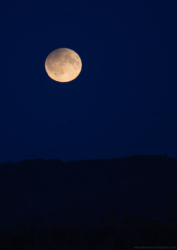 The Moon — 3 — Will Gater Astrophotography