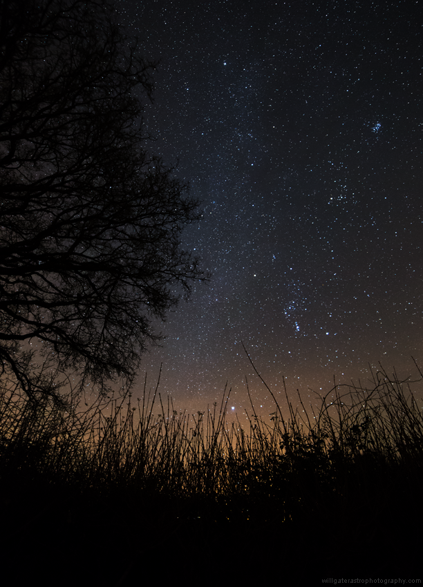 The winter Milky Way with Orion, Taurus (including the Hyades & Pleiades star clusters), Auriga and the bright star Sirius