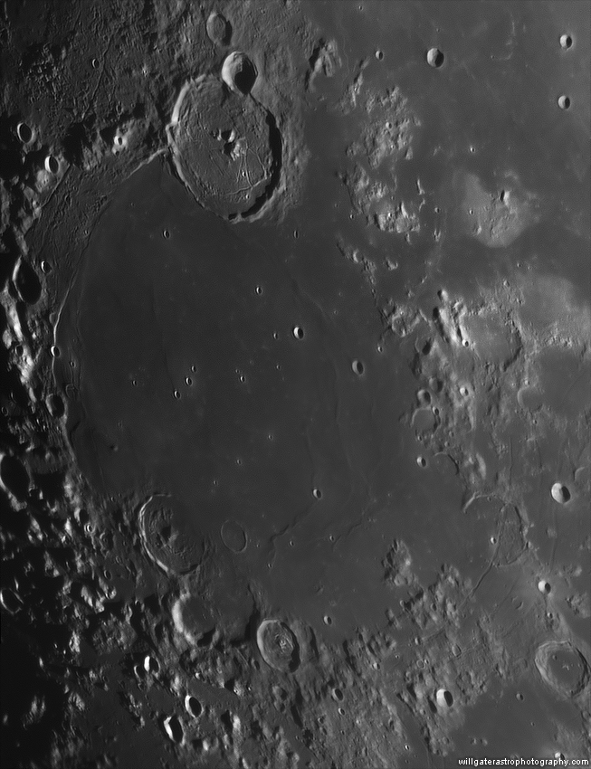 MareHumorum mosaic_11122016_sharper.png