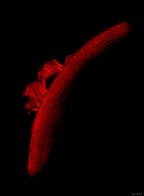 Hedgerow prominence seen in H-alpha - ~11:50UT, 20 October 2017 - graphite pencil & paper sketch inverted and colourized in Photoshop. Coronado PST solar telescope & 9.5mm Plössl.