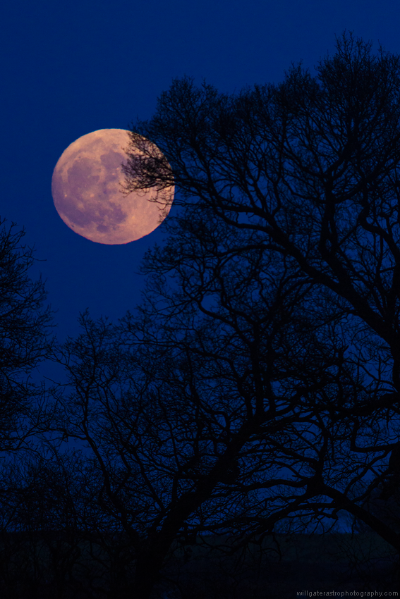 Perigee full Moon (a.k.a. a 'supermoon') rise - 1 January 2018