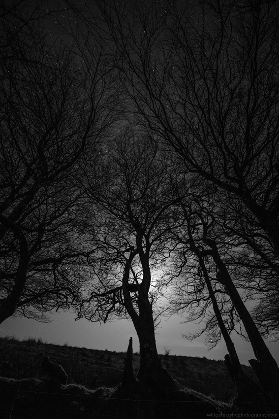 Stars and silhouettes by moonlight - Exmoor National Park, UK