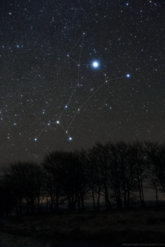 The constellation of Canis Major showing the brightest star in the night sky (Sirius). Also visible at centre is the open cluster Messier 41.