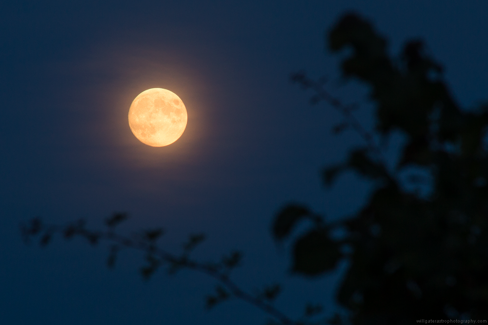 The golden light of the rising gibbous Moon catching a thin veil of cloud - 15 July 2019