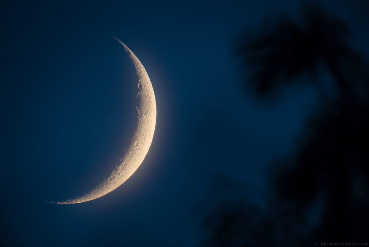 The crescent Moon sinking behind a treeline - August 2019