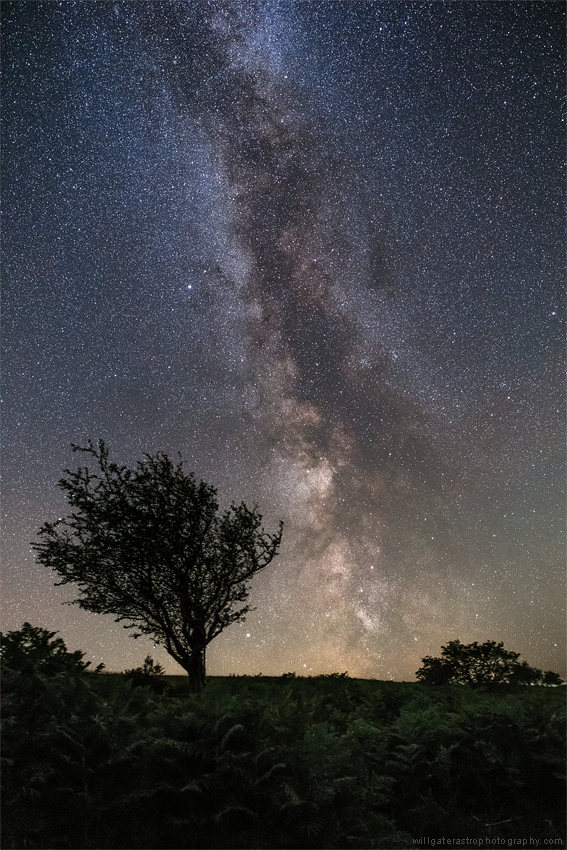 The summer Milky Way rising over Exmoor National Park, UK - showing the Great Rift and the Scutum Star Cloud