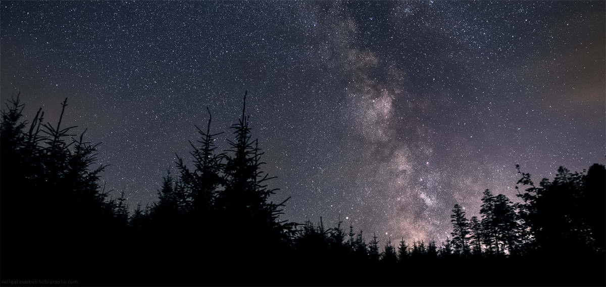 The summer Milky Way setting over Bellever Forest, Dartmoor - September 2019