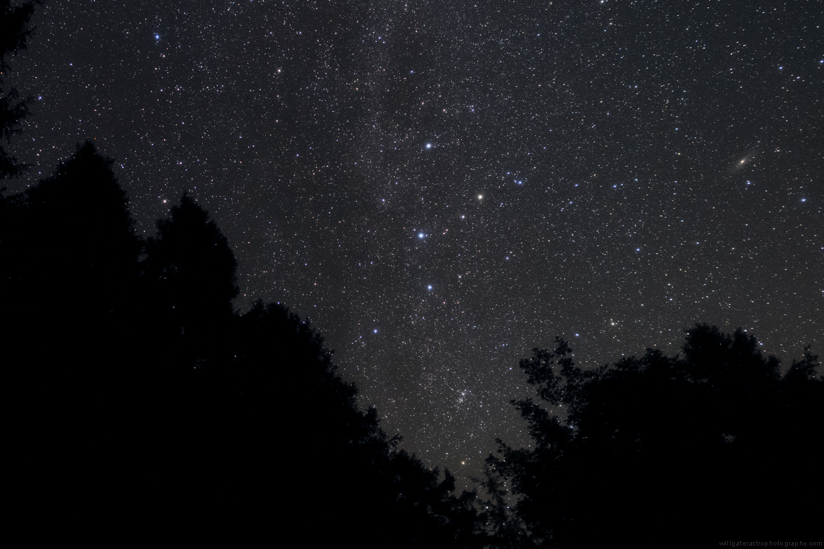The constellation Cassiopeia rising over Bellever Forest, Dartmoor, including the Double Cluster & M31 (the Andromeda Galaxy).