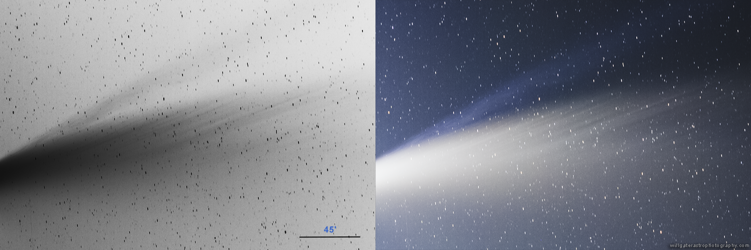 Contrast enhanced (and at left inverted) images of ion & dust tail structures within Comet C/2020 F (NEOWISE)- 15 July 2020