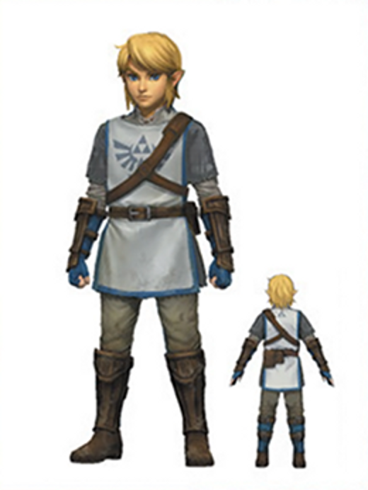 link_knight_uniform___hyrule_warriors_link_trainee_by_skilarbabcock-d81loun.png