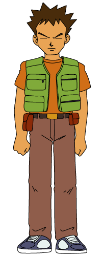 pokemon_brock.gif