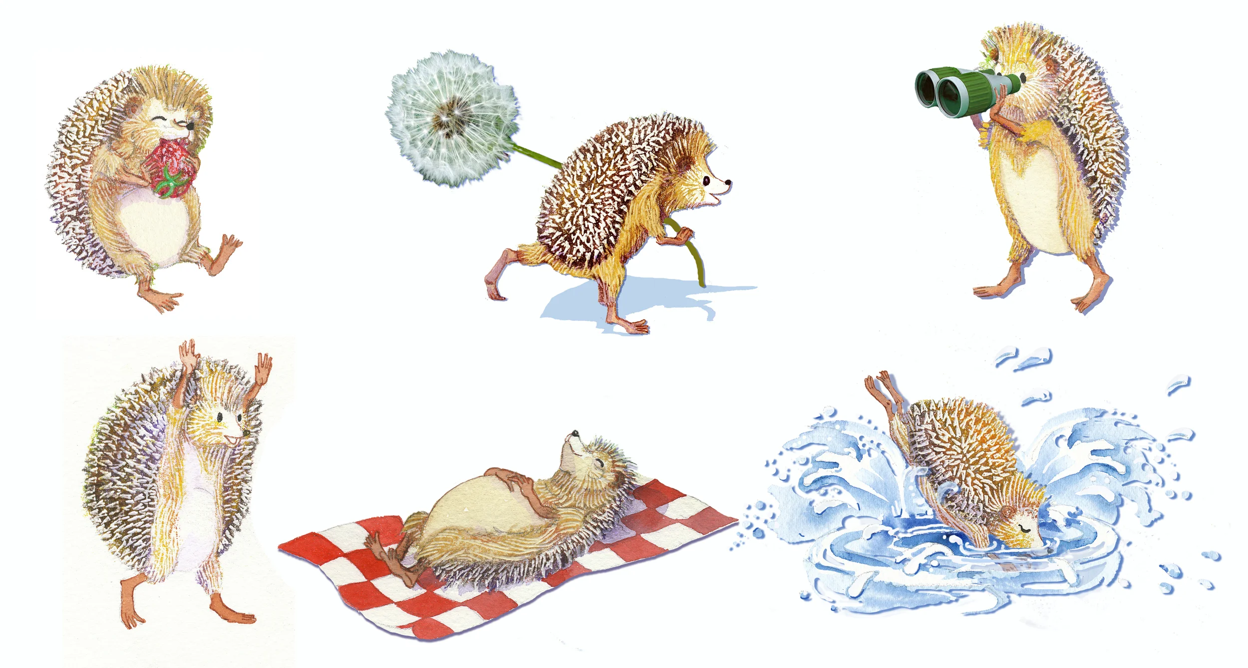 Hedgehog Fun