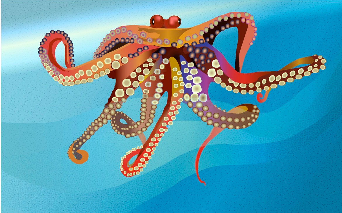 Octopus