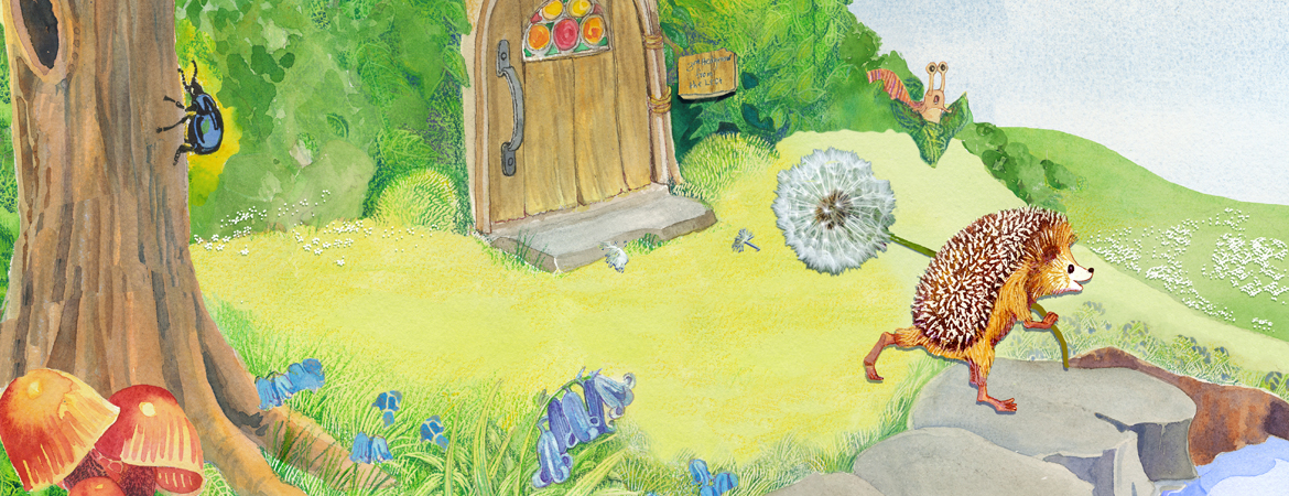 Hedgehog Adventure
