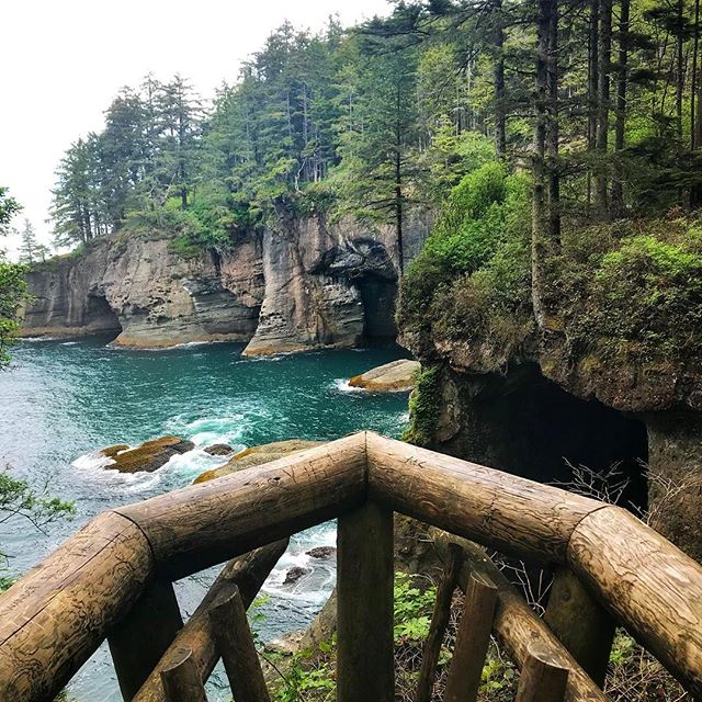 Lookout at Cape Flattery 👀🌊
.
.
.
#capeflattery #caves #ocean #islands #pnw #washingtonstate #views #woods #hike