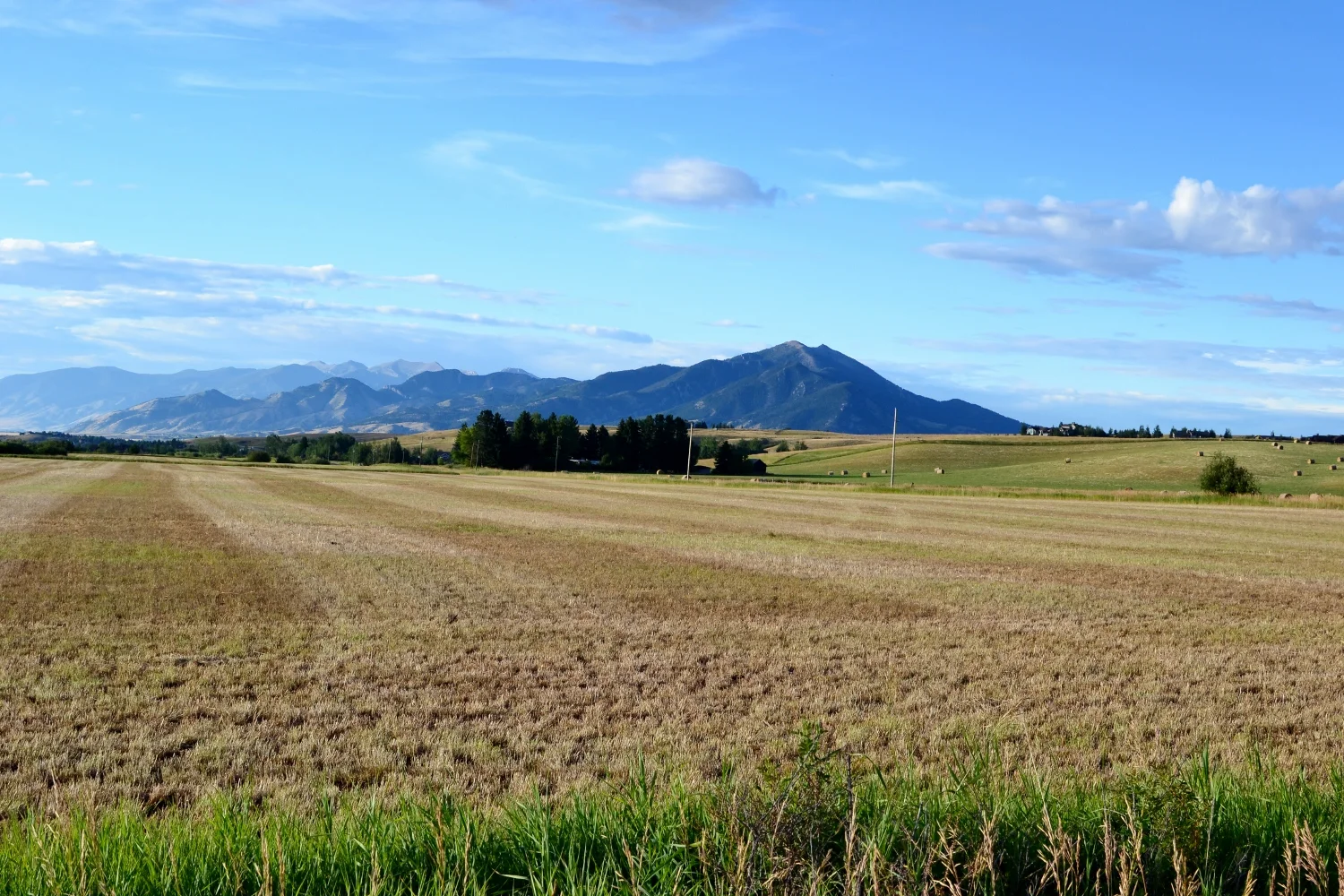 Just your typical Bozeman views...